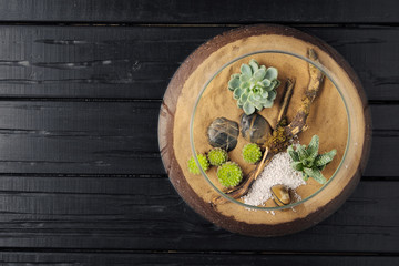 Mini garden home in a glass flask. Cacti, succulents and sand. The concept of nature and environmental protection, gift.