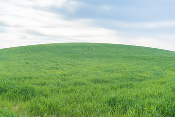 Green grass hill under blue sky