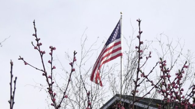 waving flag in wind over spring blooms