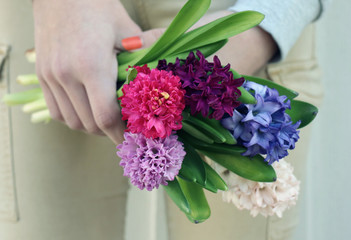 Holding Hyacinths in pink, blue, purple and white. Boquet from a friend. Bulb flowers of the Spring.