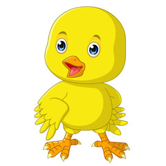 cute chicken cartoon