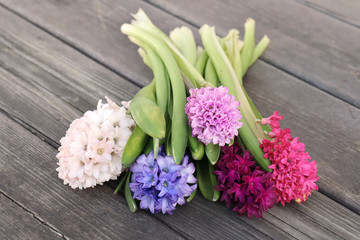 Bouquet of Hyacinths during Spring. Background - old vintage table.