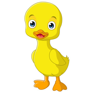 cute duck cartoon 