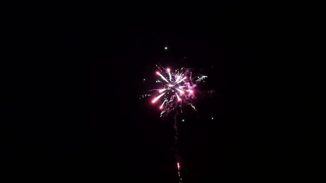 Firework on black background (black night sky). Concept of pyrotechnics at festive events.