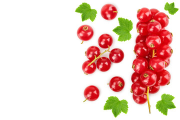 Red currant berry with leaf isolated on white background with copy space for your text. Top view. Flat lay pattern
