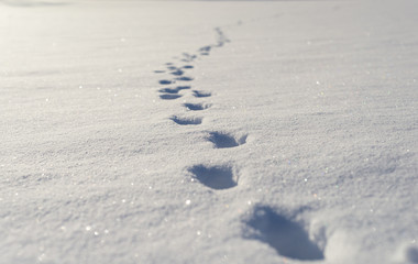 Fototapeta na wymiar footsteps in snow