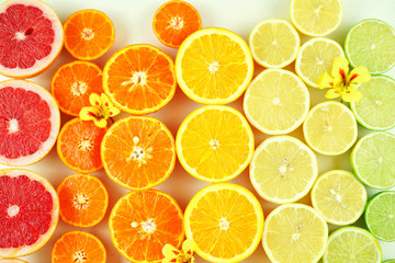 Colorful citrus fruit including blood grapefruit, mandarins, oranges, lemons and limes.
