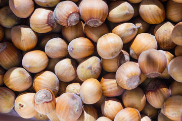 Hazelnuts drying background