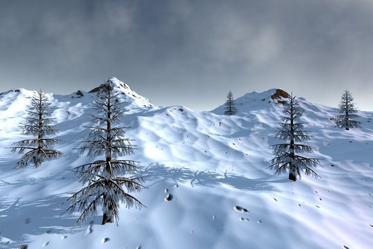 Snowy mountain, a winter landscape, coniferous trees and clouds in the sky.