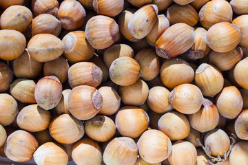 Hazelnuts drying background