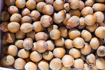 Hazelnuts drying background