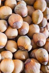 Hazelnuts drying background