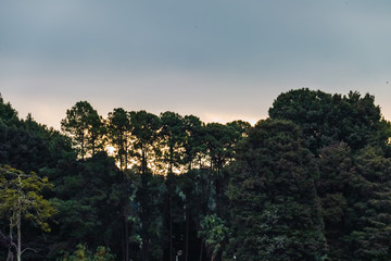 Horto Florestal in Sao Paulo, Brazil