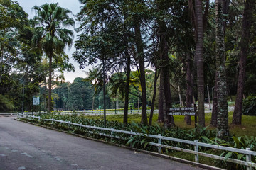 Horto Florestal in Sao Paulo, Brazil