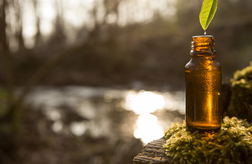 Organic bio alternative medicine, brown bottle.