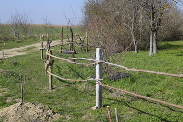 Wooden fence of two crossbars to protect trees