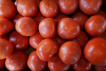 Tomatoes at the Farmers Market
