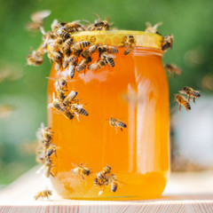swarm of bees around a jar full of honey in apiary  