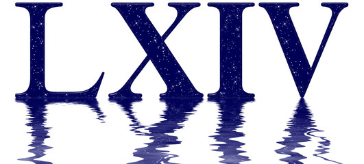 Roman numeral 64, sixty four, star sky texture imitation, reflected on the water surface, isolated on white, 3d render