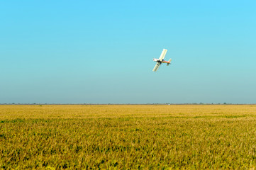 Avioneta de fumigación en campo de sembrado 