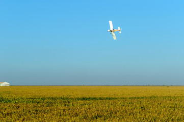 Avioneta de fumigación en campo de sembrado 02
