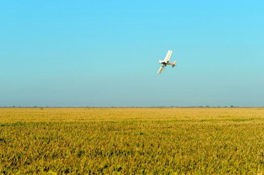 Avioneta de fumigaci&oacute;n en campo de sembrado 