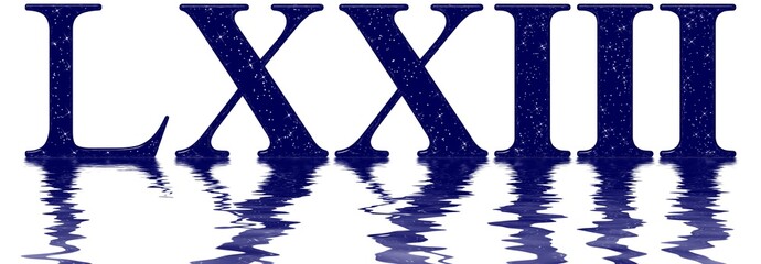 Roman numeral 73, seventy three, star sky texture imitation, reflected on the water surface, isolated on white, 3d render