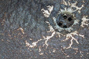 Sink jammed with coffee