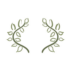 branches leaves nature