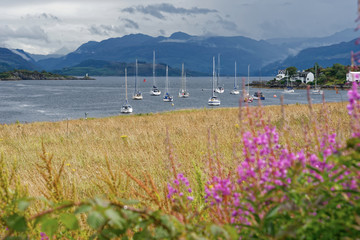 Schottland - Isle of Skye - Loch Alsh