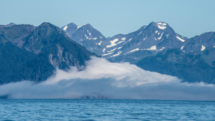 A covering of fog creates strange shapes around boulders in Resurrection Bay, Alaska.