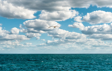 Mediterranean sea landscape with clouds and flying seagull.