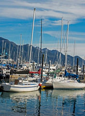 Obraz premium Fishing and tour boats in Resurrection Bay getting ready for the day.