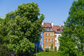 Early color houses surrounded by green trees. Warsaw