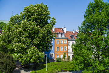Obraz premium Early color houses surrounded by green trees. Warsaw