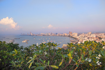 Beautiful view of the panorama of Pattaya, Thailand