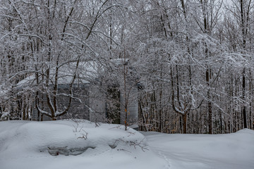 Winter scene of a wood shed covered in snow