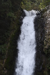The famous waterfall of Japan. 