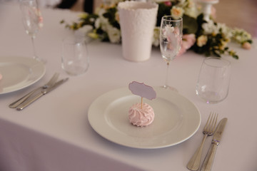 Blank ad space frame sign - Wedding Setup decoration during Reception - Tender pink and white color - Zephyr and marshmallow details