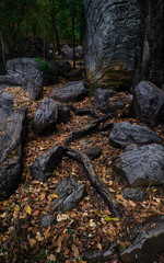 Big rocks and autumn leaves