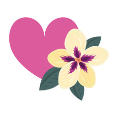 love romantic heart flower