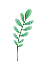 branch with leaf isolated icon