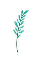 branch with leaf isolated icon