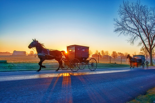 Amish Buggies at Sunrise