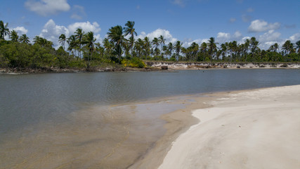 Tropical landscape - River with coconut trees on the coast of Bahia Brazil