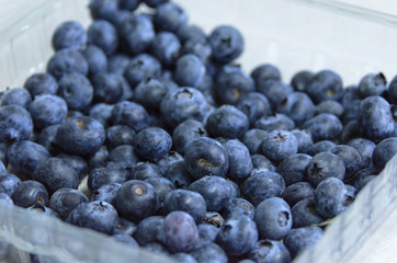 Fresh blueberries in plastic container