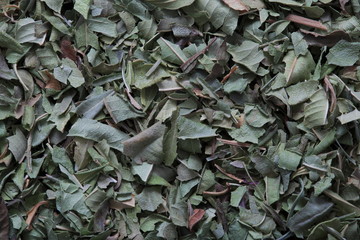 Image of Lemon Verbena