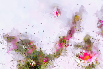 Pink cosmos field on pink background. Digital watercolor painting.