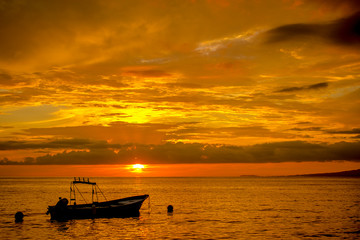 Magical Puerto Vallarta