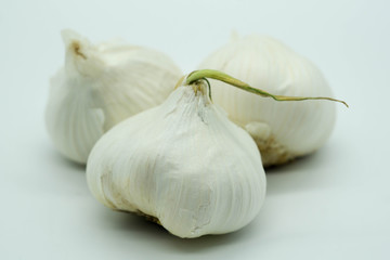 Obraz premium garlic isolated on white background with a sprout